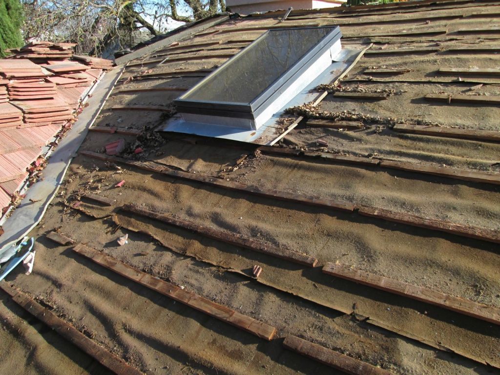 Roof Leak Repair in Rochelle Park, NJ 07662