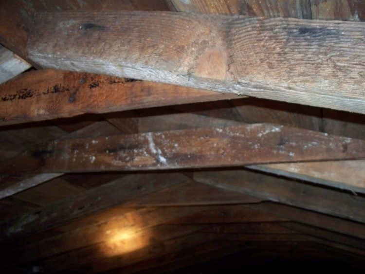 Emergency Roof Repair in Towaco, NJ 07082